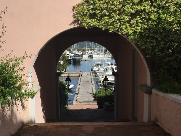 cervo