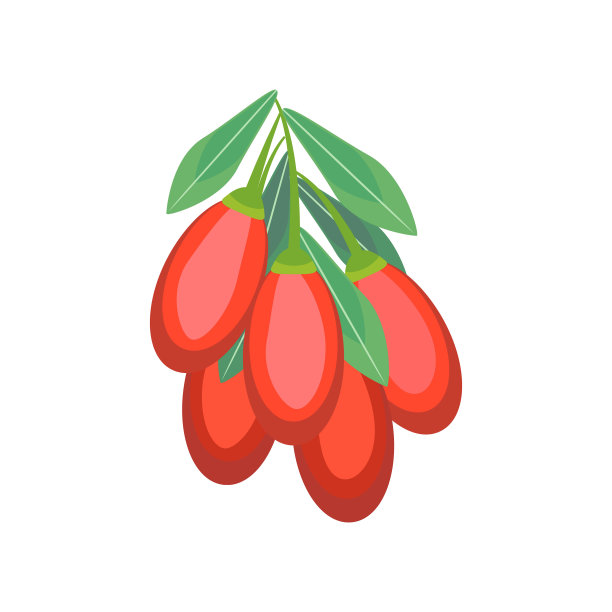 矢量枸杞