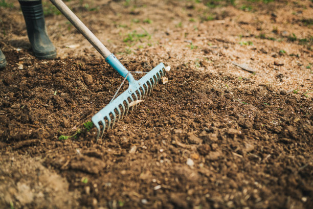 rake