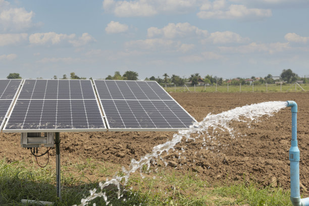 irrigation