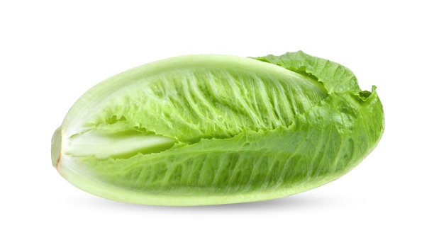 romaine