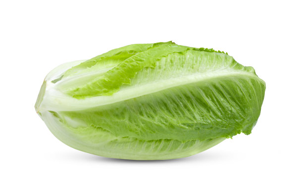 romaine