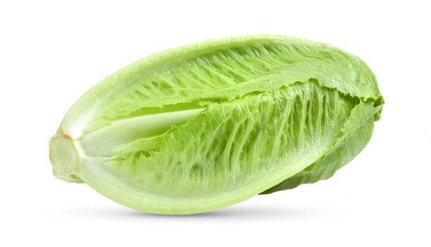 romaine