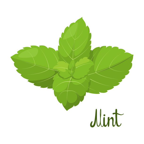薄荷叶