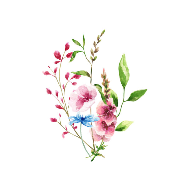 春天百花盛开万物复苏