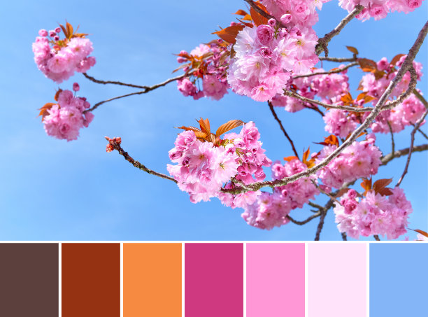 palette