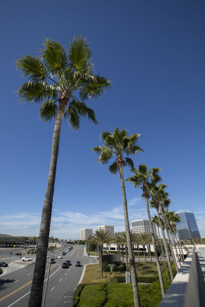 irvine