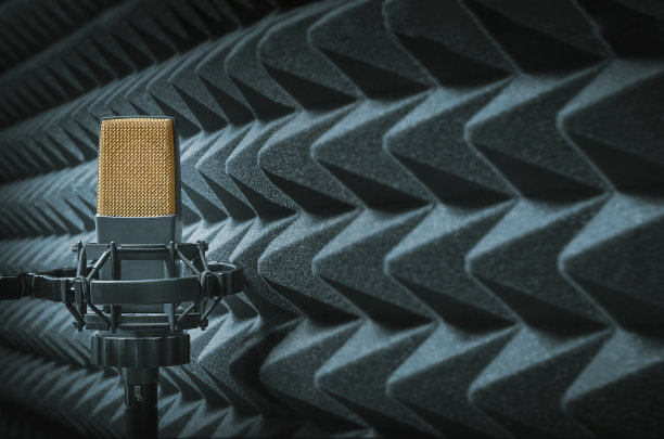 voice