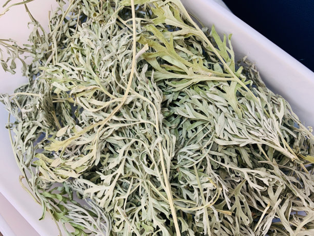 wormwood