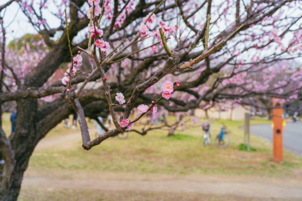 march