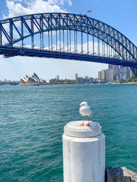 sydney