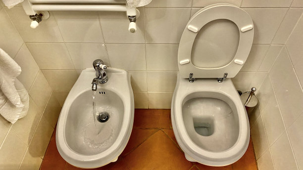 bidet
