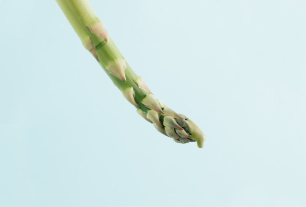 asparagus