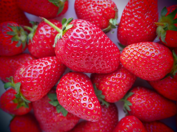 早餐店价目表图片