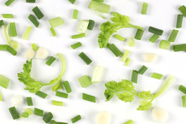 cilantro
