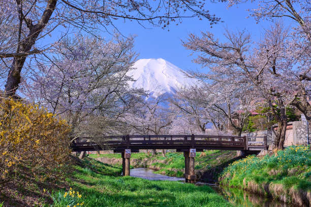 忍野八海富士山
