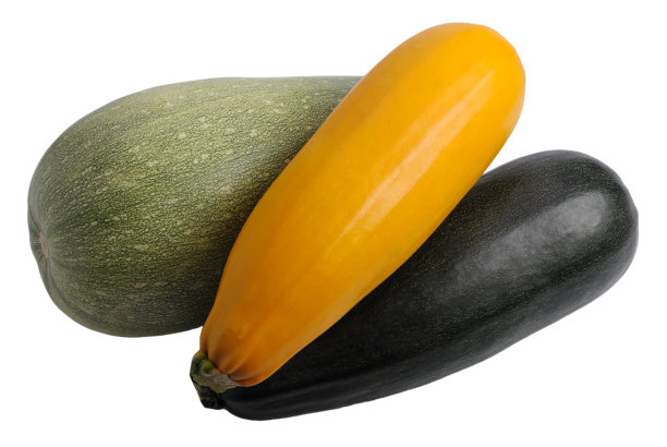 courgette