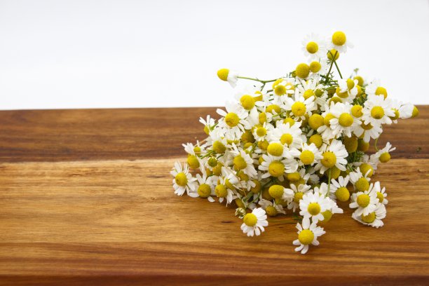 camomiles