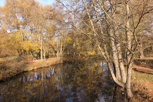 rhön