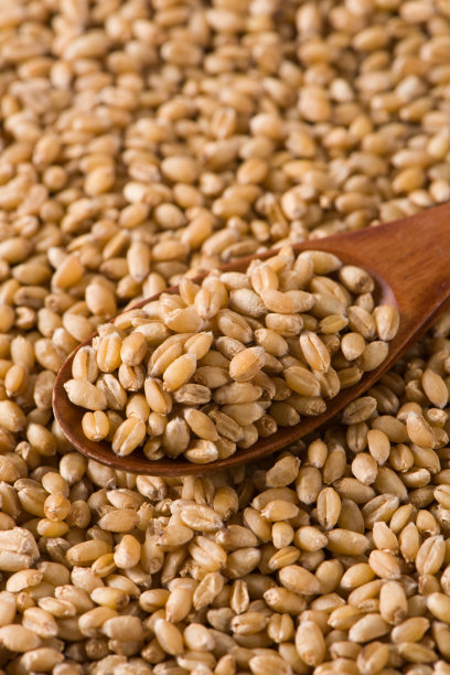 bulgur