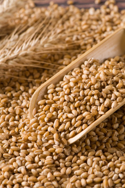 bulgur