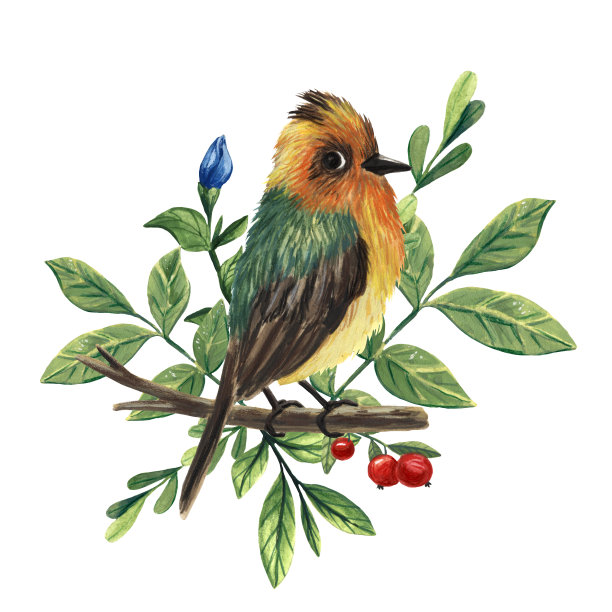 avian