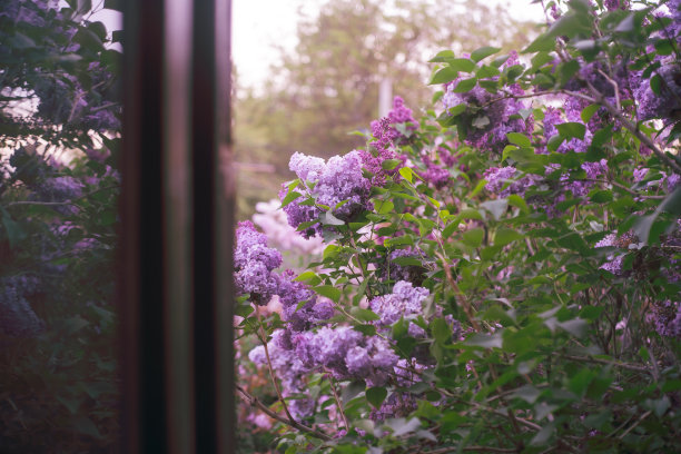 花窗玻璃花纹图案