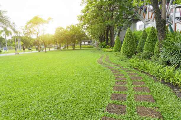 landscaping