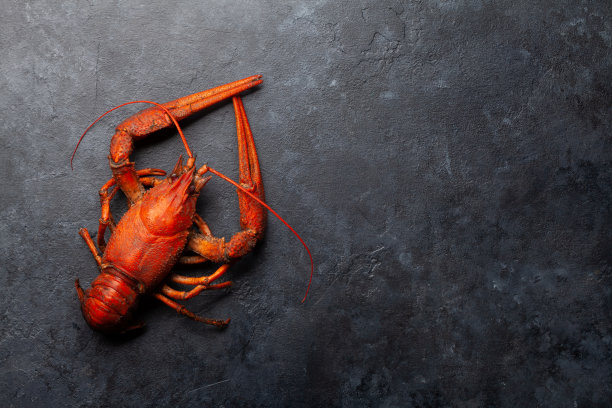 crawdad