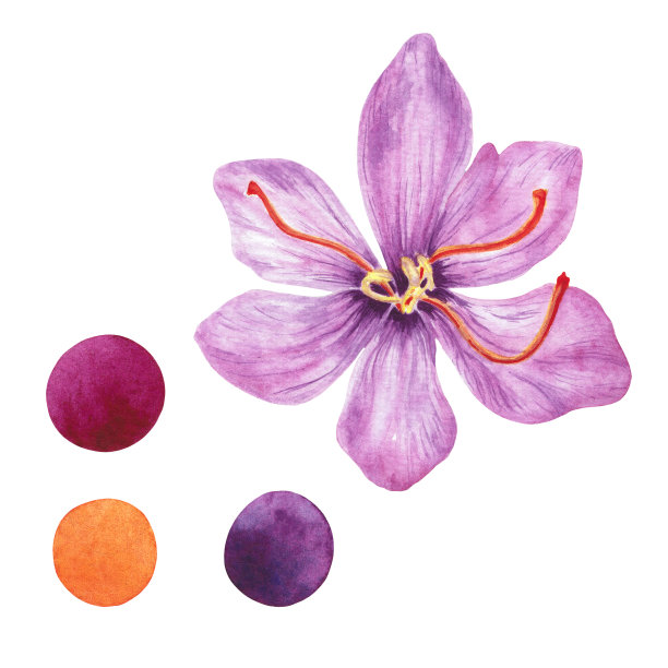 saffron