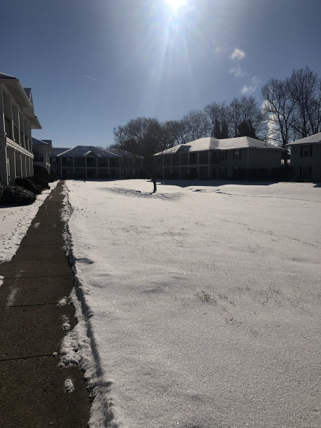 大雪覆盖的校园