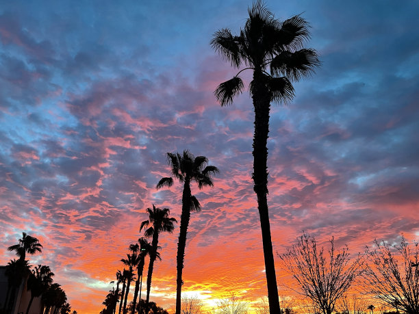 california