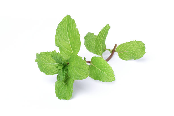 spearmint