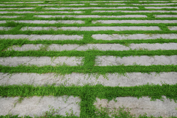 清新绿色方块背景图案