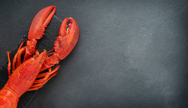 crawdad