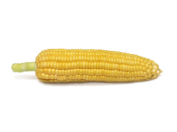 maize