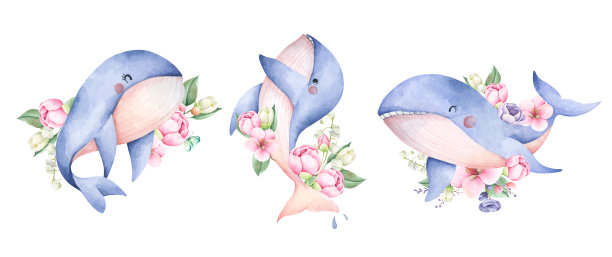 海豚 卡通印花图案