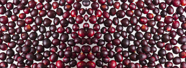 acai