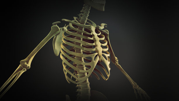 skeleton
