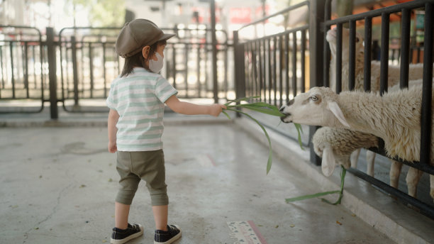 zoo