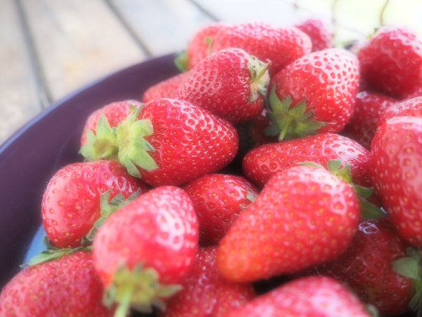 早餐店价目表图片