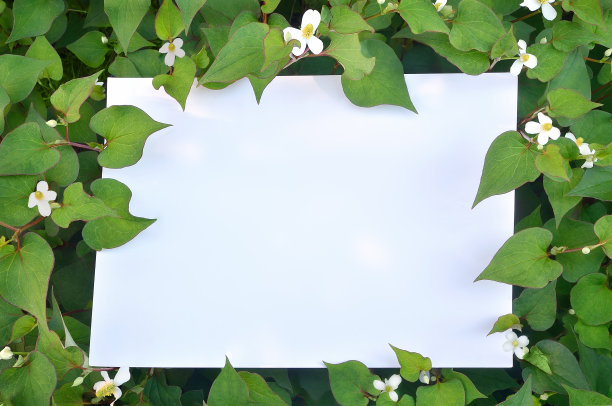 清新绿色方块背景图案