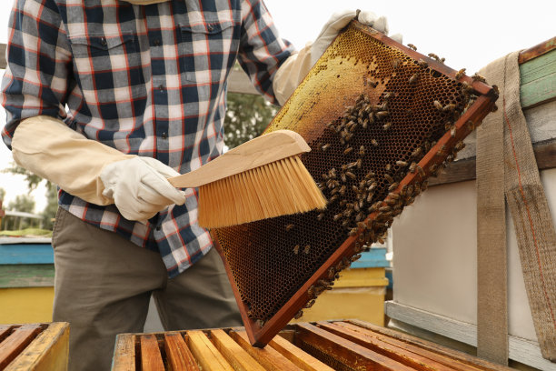 beekeeper