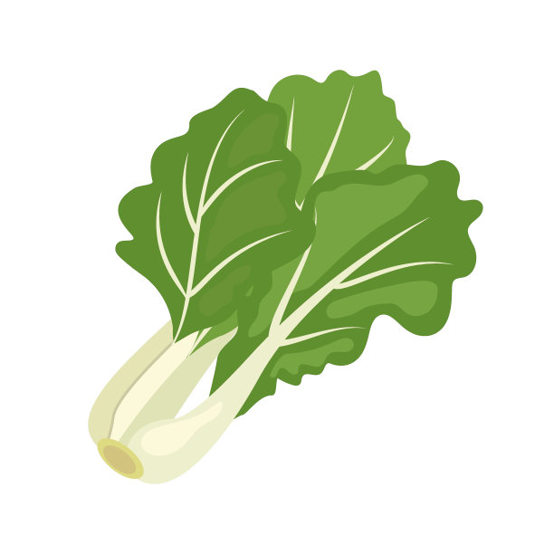 芥菜高清图