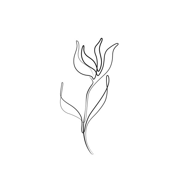 植物学,仅一朵花,花