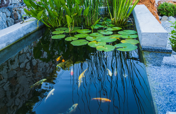 ponds