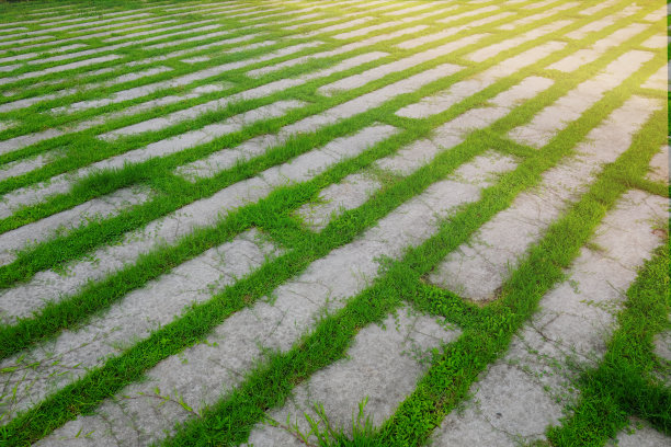 清新绿色方块背景图案