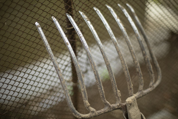 rake
