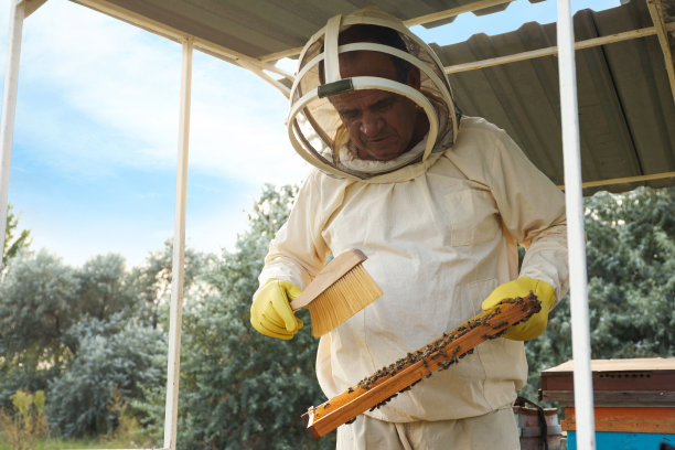 beekeeper