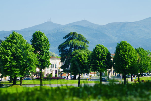 lucca